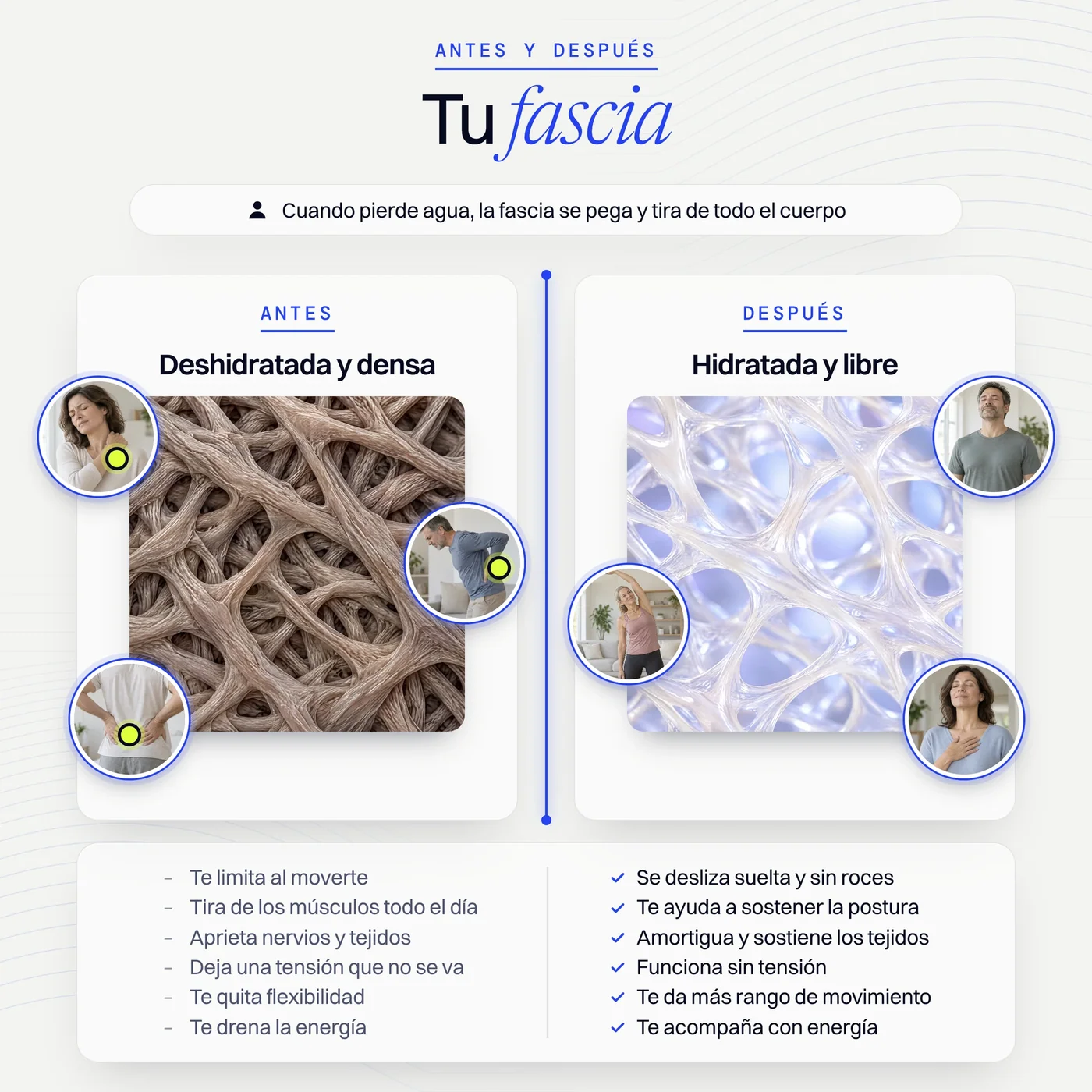 Fascia deshidratada y fascia hidratada, antes y después